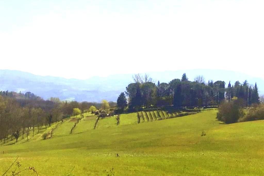 Tuscan Hills - Stonehouse, Garden & Pool Vicchio Exterior photo