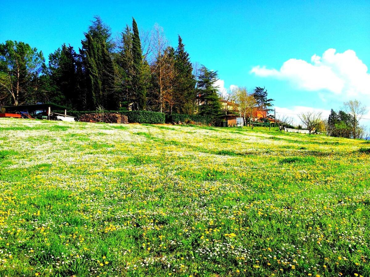 Tuscan Hills - Stonehouse, Garden & Pool Vicchio Exterior photo